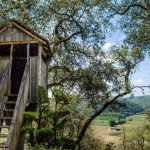 Cabane dans les bois