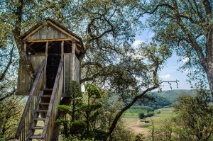 Cabane dans les bois