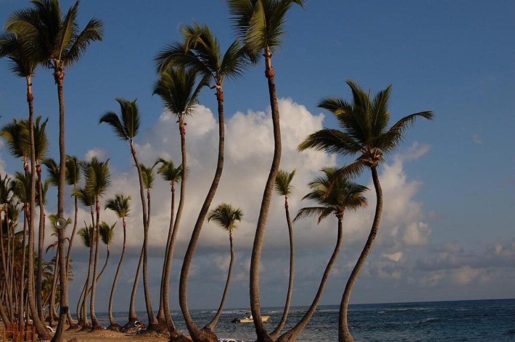 vol en direction de Punta Cana au meilleur prix