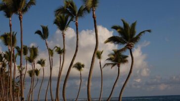 vol en direction de Punta Cana au meilleur prix